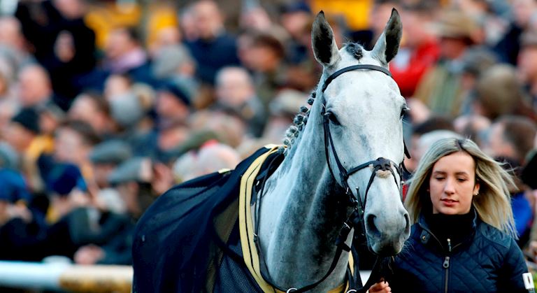 His beloved Haydock