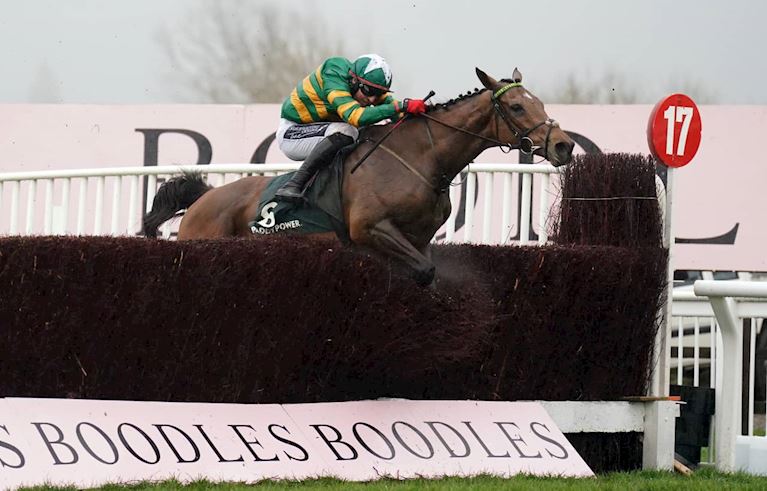 Limerick Lace_Winner_Goldcup_CTA (1).jpg