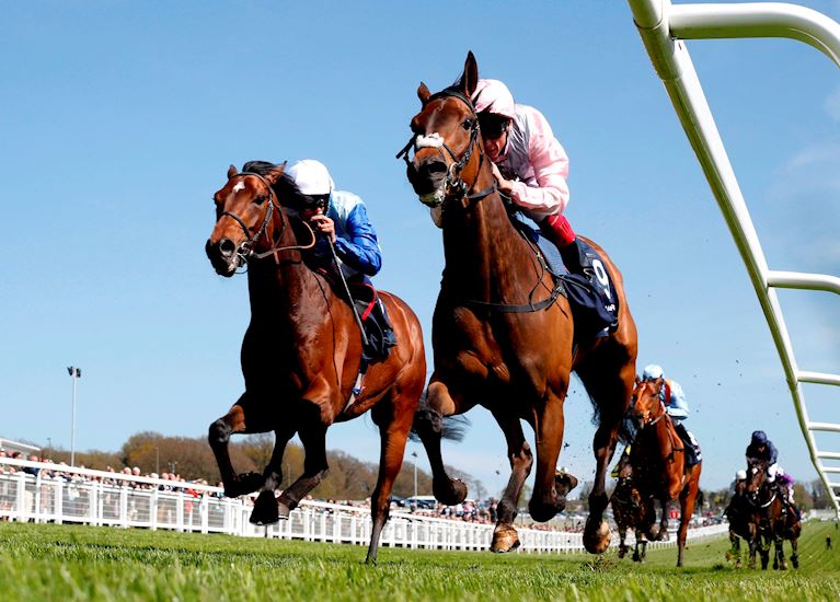 Racecourse Committee