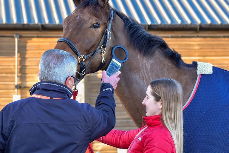 Horse Welfare at Aintree Racecourse