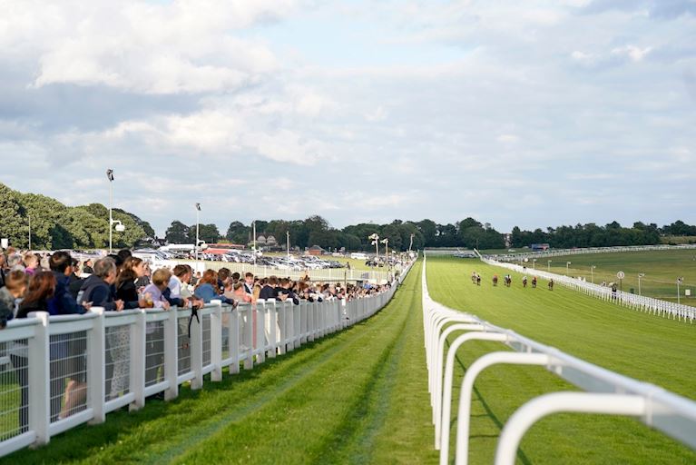 The Stands Enclosure