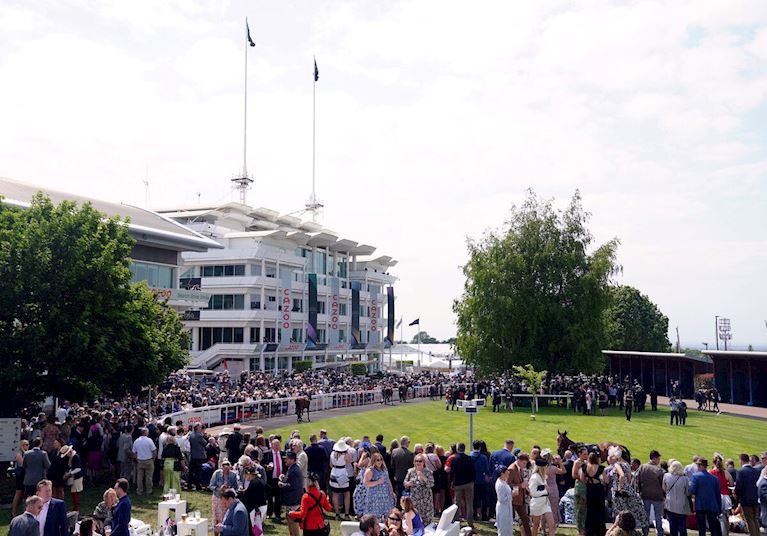 Adult - Grandstand Enclosure