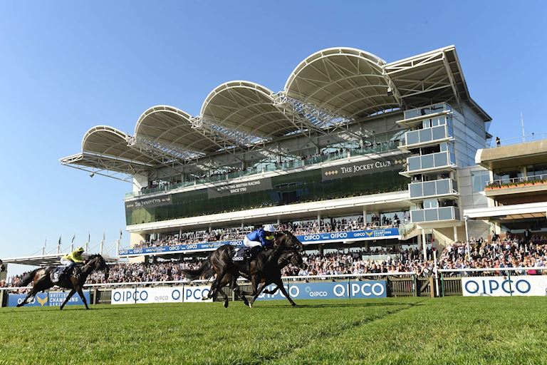 Newmarket_Champions_Gallery.jpg