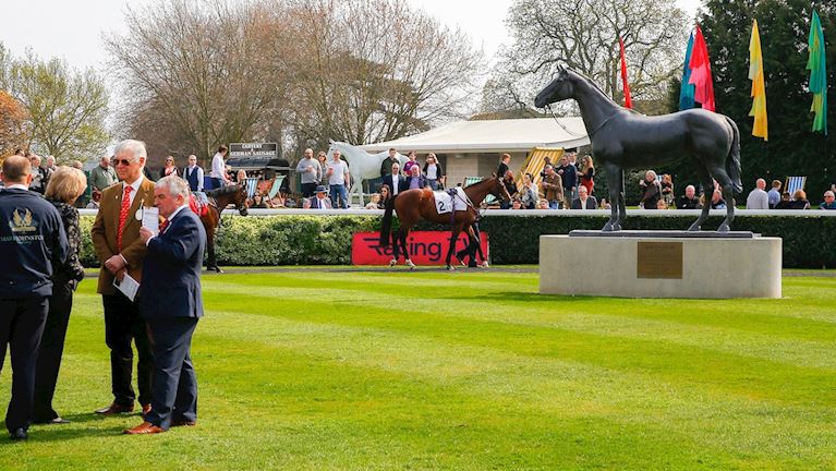 KEMPTON PARK PARADE RING 16X9.jpg